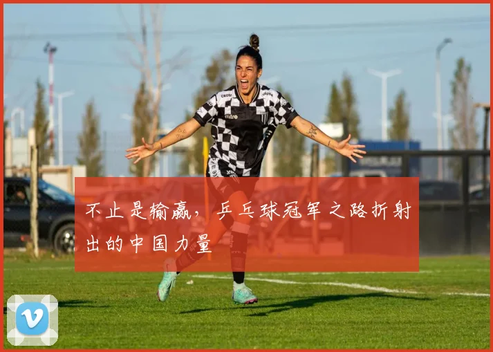 不止是输赢,乒乓球冠军之路折射出的中国力量
