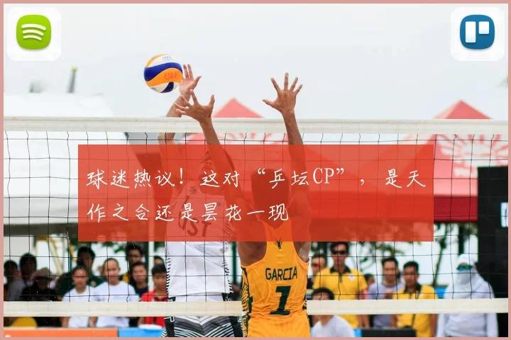 球迷热议!这对“乒坛CP”,是天作之合还是昙花一现