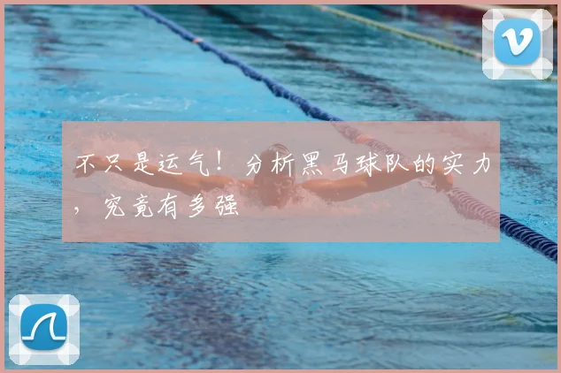 不只是运气!分析黑马球队的实力,究竟有多强