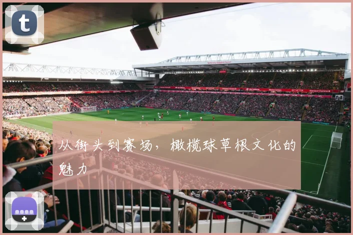 从街头到赛场，橄榄球草根文化的魅力